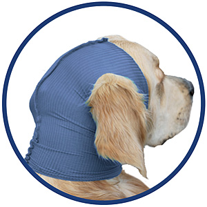 Kopfverband für Hund aus Safety Tube