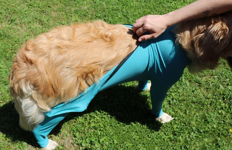 VetMedCare Hundebody mit Reißverschluss und vier Läufen