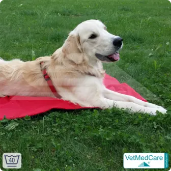 Animal Pad | highly insulating dog blanket red/black - also for the dog bed and car | VetMedCare®