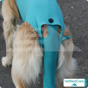 Snap fastener set | black | VetMedCare®