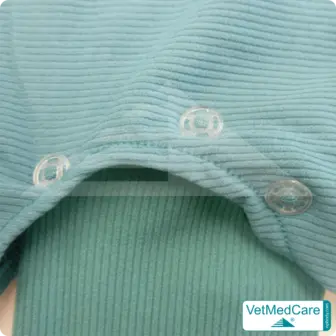 Snap fastener set | transparent | VetMedCare®