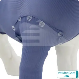Snap fastener set | transparent | VetMedCare®