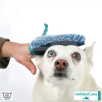 Grooming Glove | glove like a dog brush for grooming dog, cat, horse and short-haired small animals | VetMedCare®