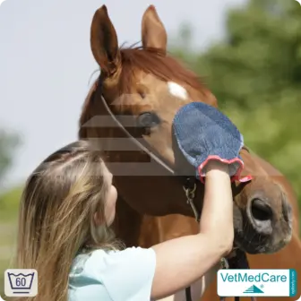 Grooming Glove | glove like a dog brush for grooming dog, cat, horse and short-haired small animals | VetMedCare®