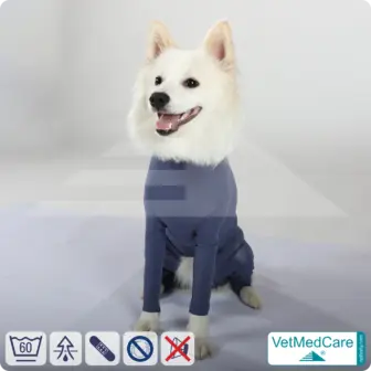 Dog bodysuit with legs | full body sweater / coat / jacket / hoodie - special for the male dog | VetMedCare®