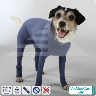 Dog bodysuit with legs | full body vest / coat / jacket / hoodie - especially for the female dog | VetMedCare®