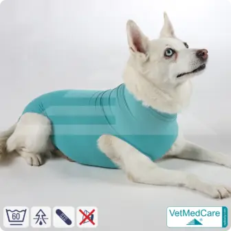 Dog suit / vest without legs | protective dog pet shirt / coat / jacket - especially for the female dog | VetMedCare®