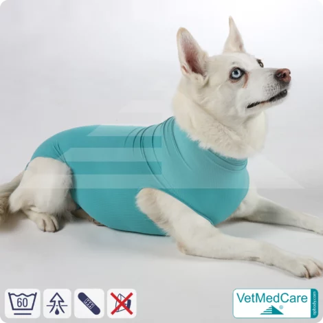 Hund OP Hundebody Female | speziell für die Hündin | VetMedCare®