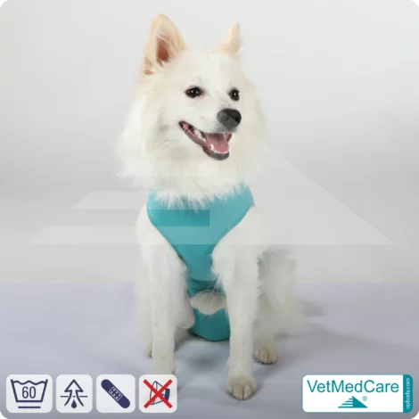 Dog bodysuit / vest without legs - protective dog pet shirt / coat / jacket | especially for the male dog | VetMedCare® 15 Dog suit / vest without legs - protective dog pet shirt / coat / jacket | especially for the male dog | VetMedCare®