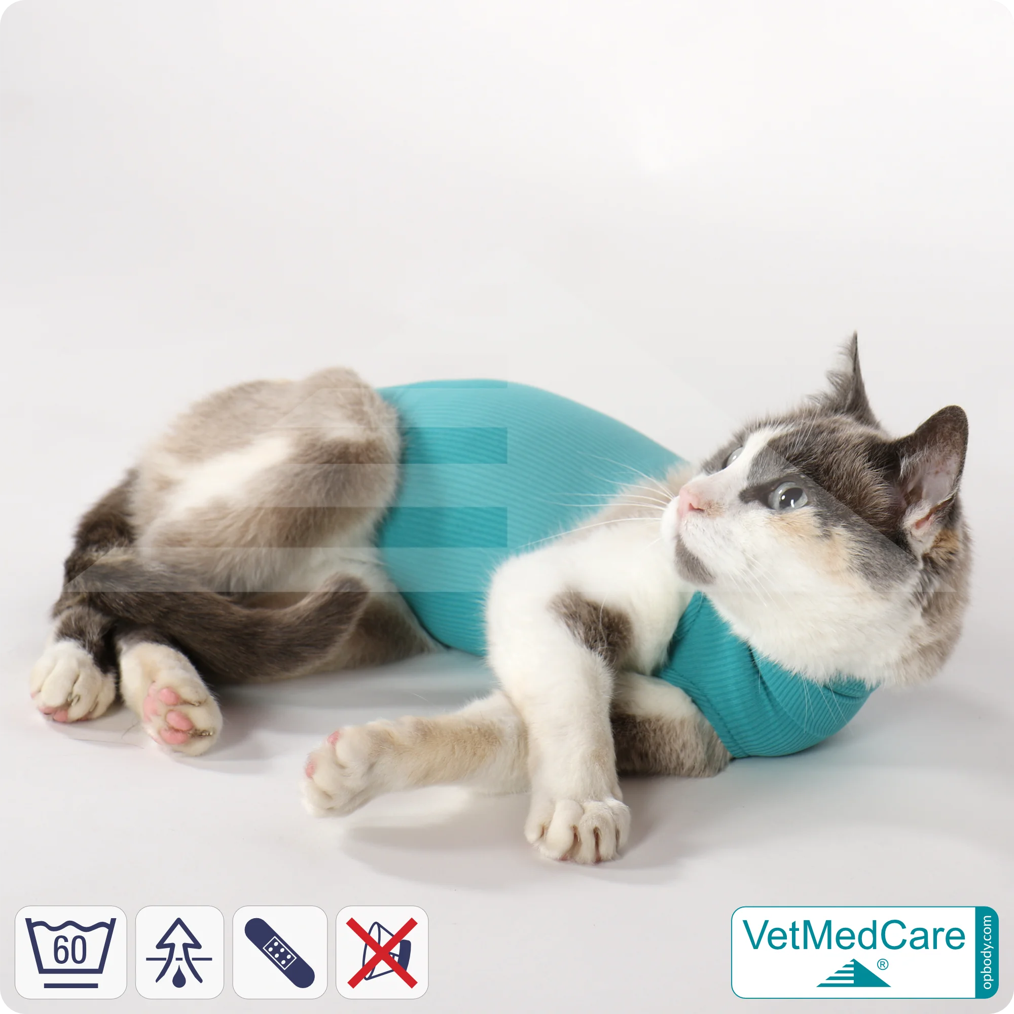 Cat bodysuit | recovery suit + wound protection specially developed for cats | VetMedCare® 9 Cat Bodysuit | Cat body + wound protection specially developed for cats | VetMedCare®