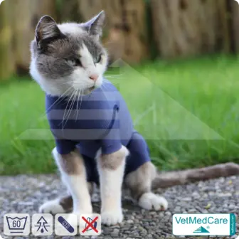 Cat Bodysuit | Cat body + wound protection specially developed for cats | VetMedCare®