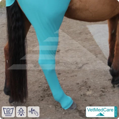 Pferde Wundschutz / Beinschutz für die Beine - Hinterlauf | links und rechts passend | VetMedCare®