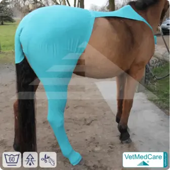 Horse wound protection / leg protection for the horse legs – hind leg