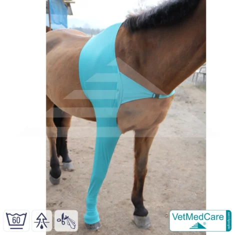 Pferde Wundschutz / Beinschutz für die Beine - Vorderlauf | links und rechts passend | VetMedCare®