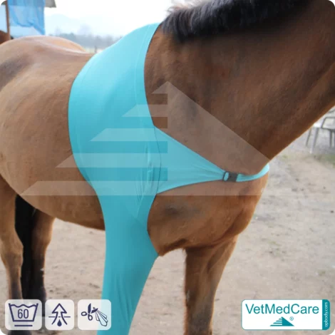 Pferde Wundschutz / Beinschutz für die Beine - Vorderlauf | links und rechts passend | VetMedCare®