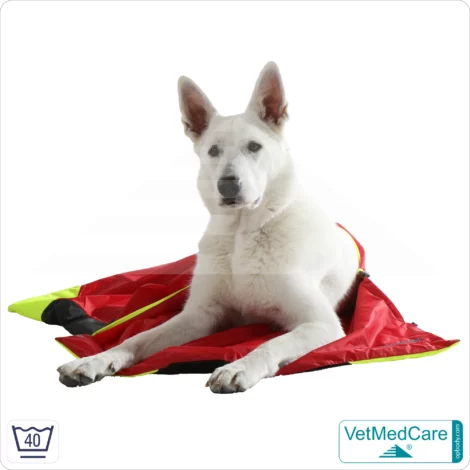 Hunde Safety Bag mit extrem isolierender, integrierter Hundedecke | wie ein Hundebett mit Schutz vor Wind, Kälte und Nässe | VetMedCare®