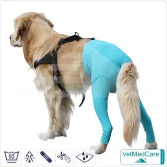 Dog Safety Pants / nappies | for dogs / bitches in heat, menstruation and incontinence | VetMedCare®