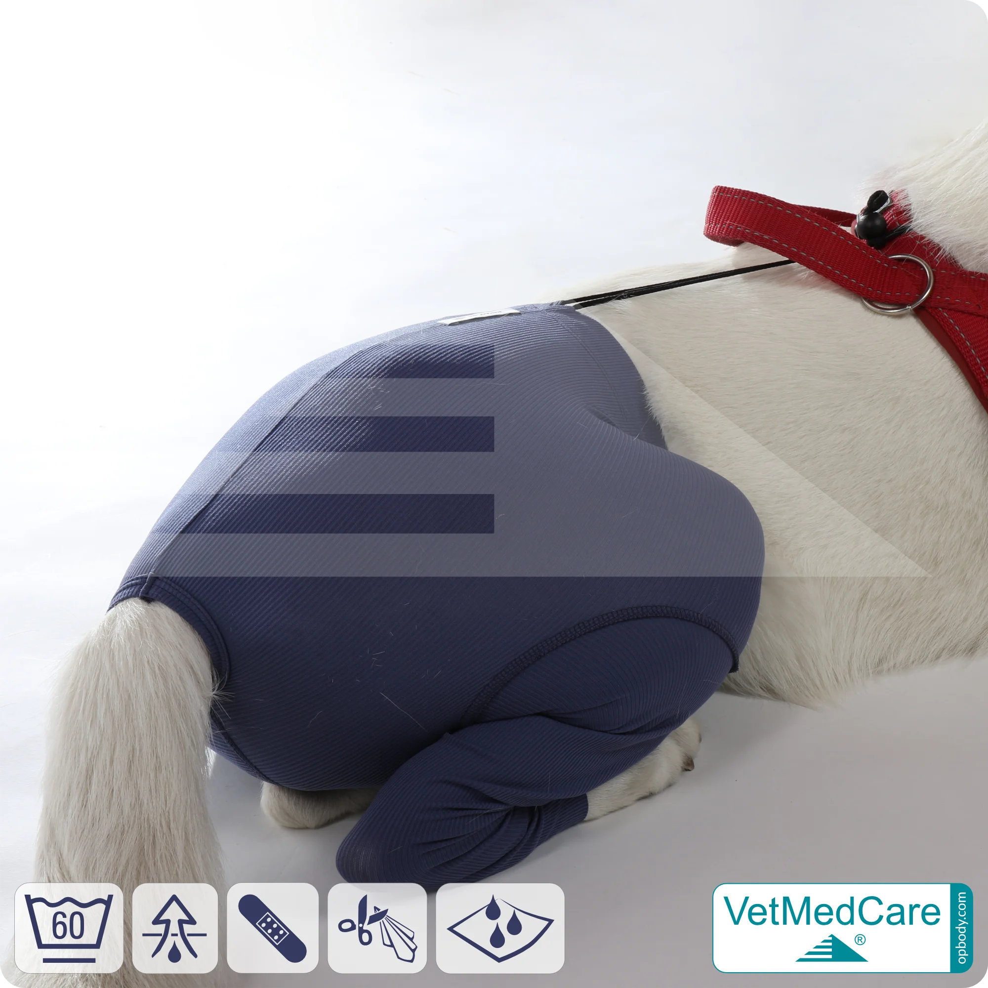 Dog Safety Pants / nappies | for dogs / bitches in heat, menstruation and incontinence | VetMedCare® 8 Dog Safety Pants / nappies | for dogs / bitches in heat, menstruation and incontinence | VetMedCare®