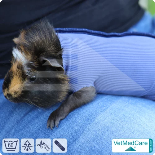 SPAR-SET: Safety Tubes DIY | wie Mullbinde, Verband und Pflaster in einem | Schutz Strümpfe für Haustiere wie Hamster, Hase und Kleintiere | VetMedCare®