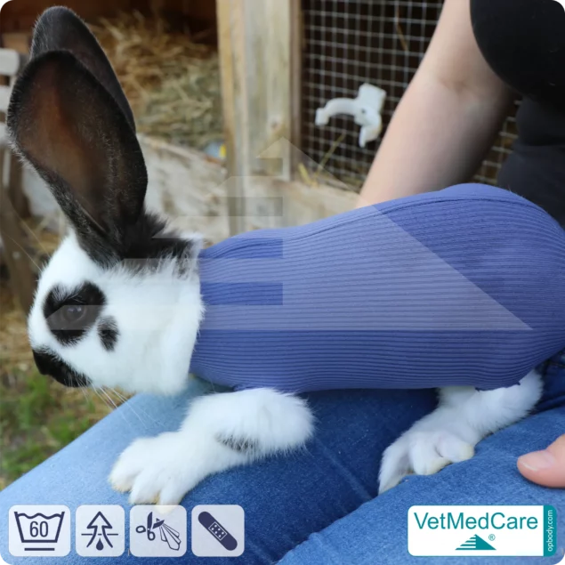 Safety Tubes DIY | wie Mullbinde, Verband und Pflaster in einem | Schutz Strümpfe für Haustiere wie Hamster, Hase und Kleintiere | VetMedCare®