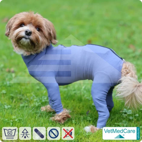 Hundebody mit Zipper blau | VetMedCare