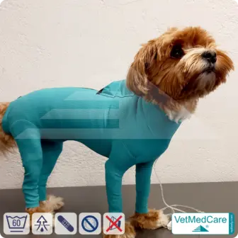 Dog system bodysuit with legs + zip + additional function | Dog bodysuit - full body bodysuit with 4 legs | VetMedCare®