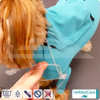 Dog system bodysuit with legs + zip + additional function bag | Dog body - full body body with 4 legs | VetMedCare® 16 Dog system bodysuit with legs + zip + additional function | Dog bodysuit - full body bodysuit with 4 legs | VetMedCare®
