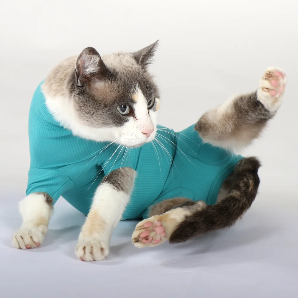 VetMedCare Katze Kategorie