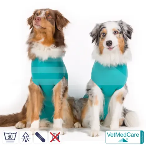 VetMedCare Comfort Dog Recovery Suit (Unisex)