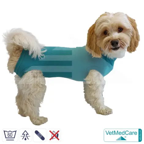 VetMedCare Comfort Dog Recovery Suit (Unisex)