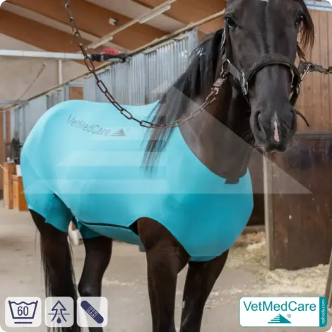 VetMedCare Equine Body Suit | Horse bodysuit | Fly protection, mosquito, insect protection