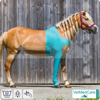 Horse wound protection / leg protection for the horse legs - foreleg | left and right fitting | VetMedCare®